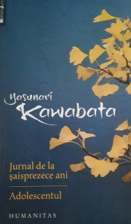 Yasunari Kawabata-Jurnal de la șaisprezece ani