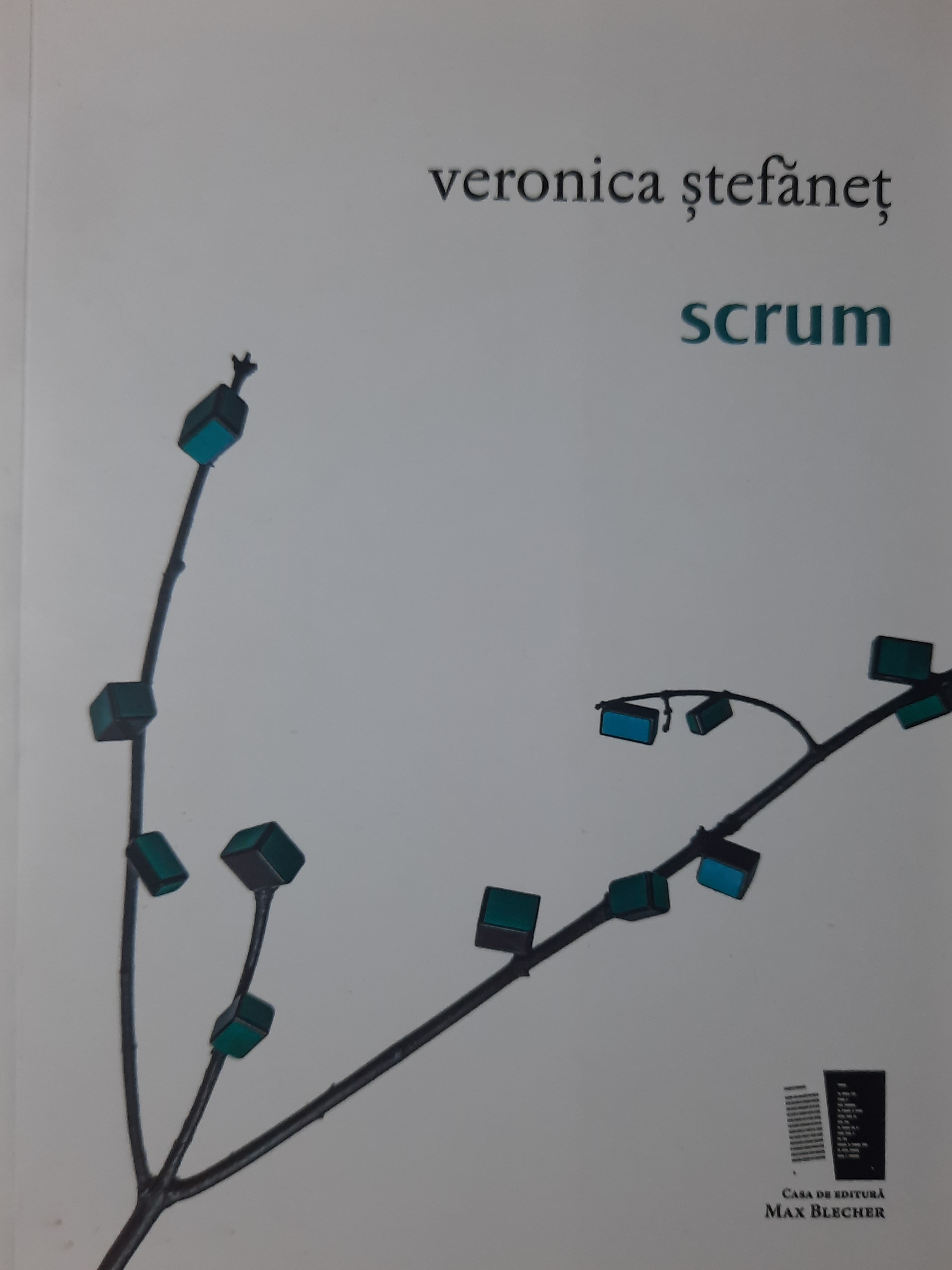 VERONICA ȘTEFĂNEȚ-SCRUM
