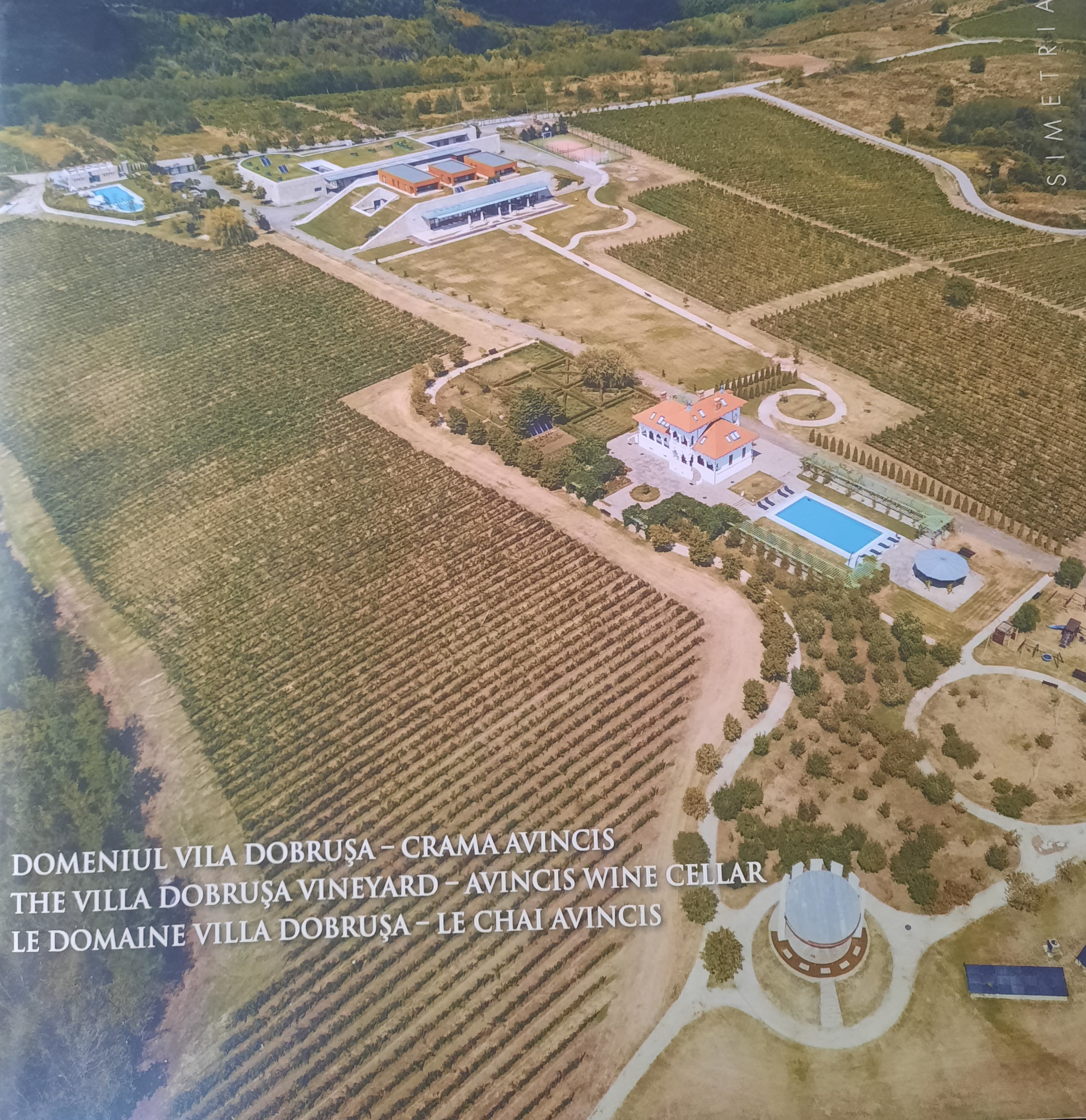 DOMENIUL VILA DOBRUȘA-CRAMA AVINCIS